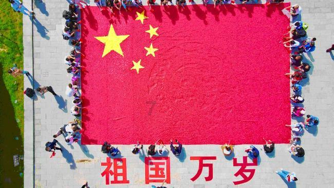冷知识分享平台-探索奇闻趣事就在悬铃木第一年怎么养护?