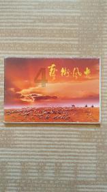 深度学习知识星球,探索“乱花渐欲迷人眼”是什么意思?的博大精深